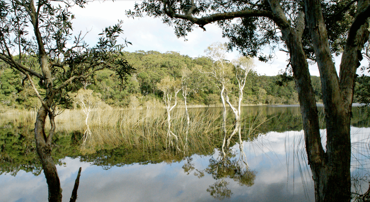photo of Australian lake with mirror reflection