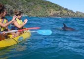Girls taking photos of a dolphin on a Kayak Tour