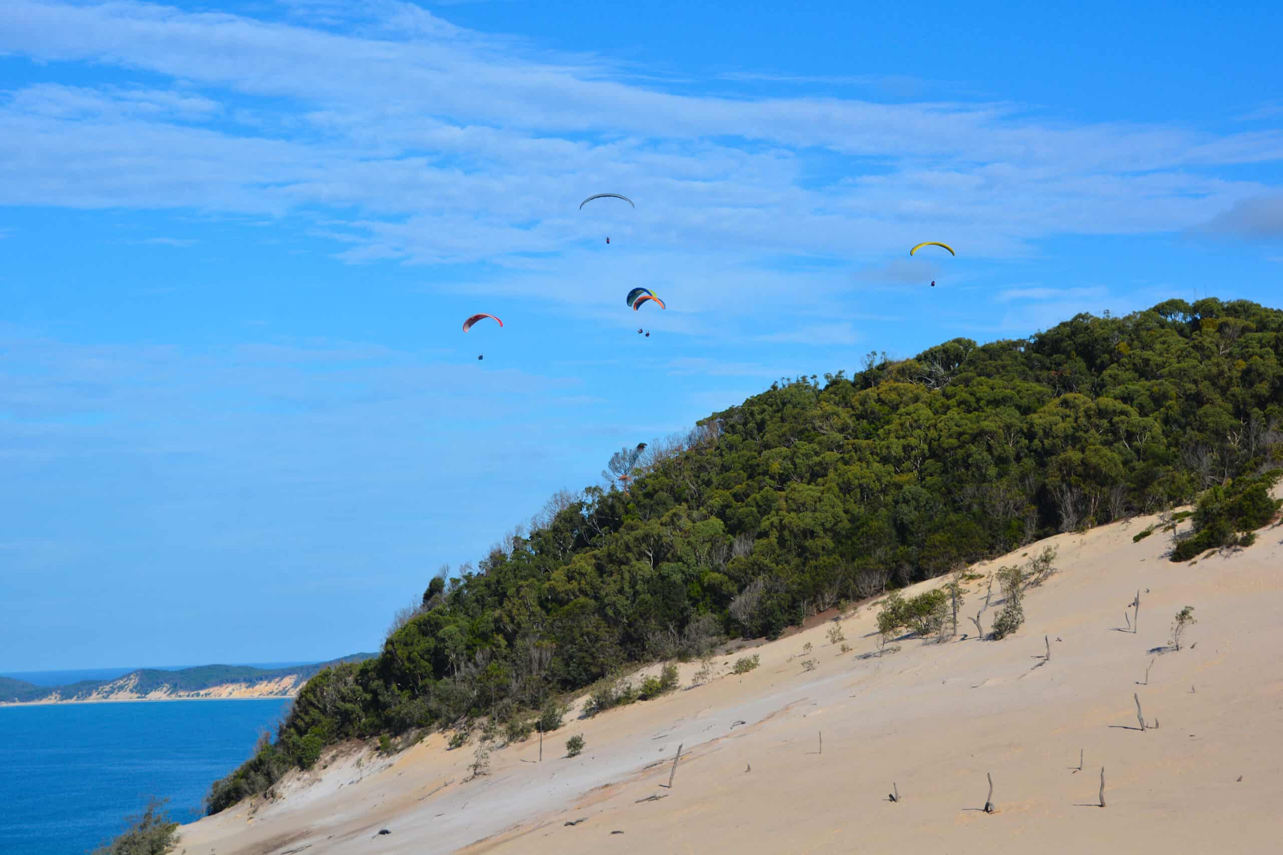 Paragliders over the treetops and dunes of Rainbow Beach