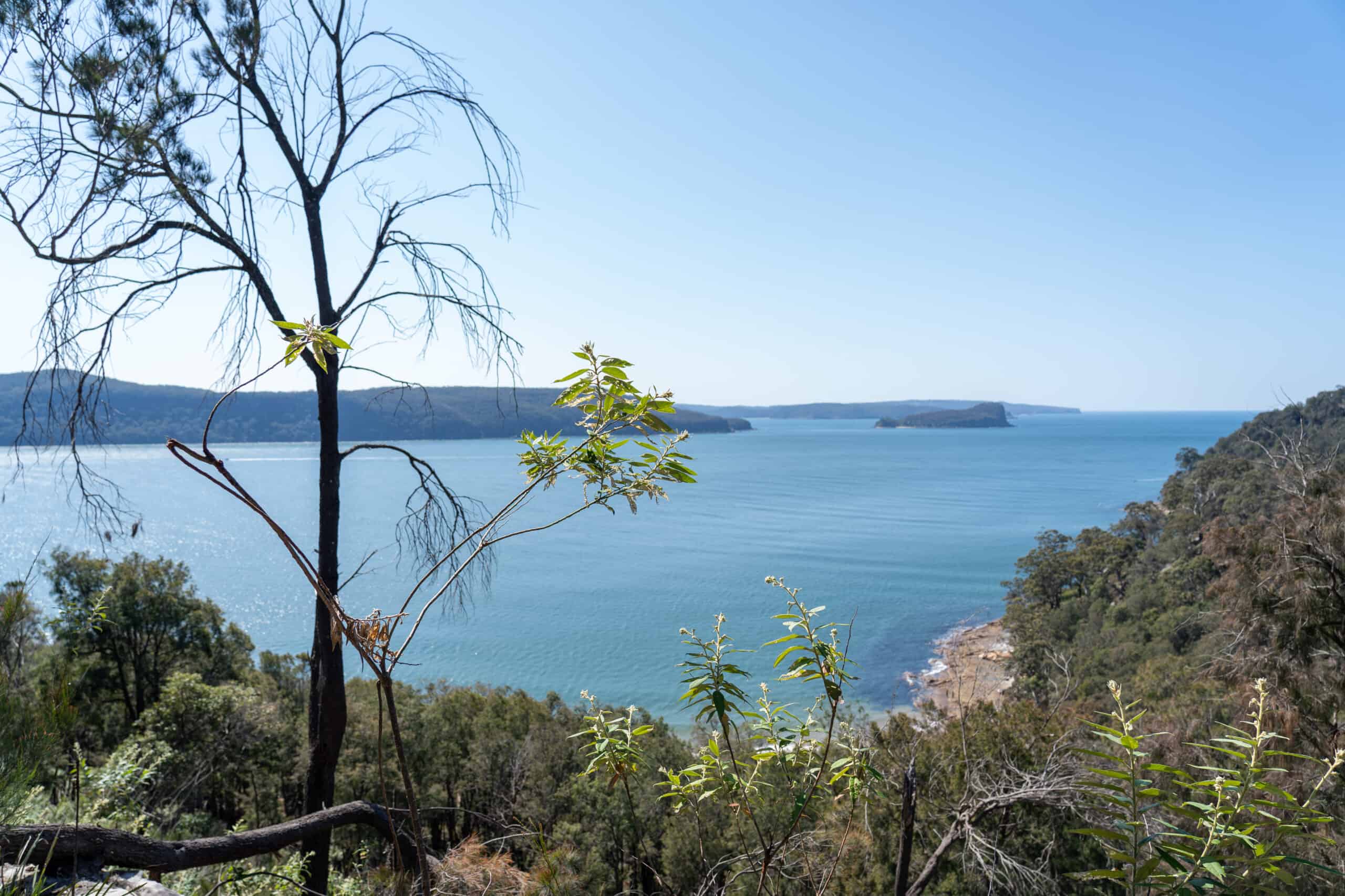 Bush Walking with stunning coastal views.